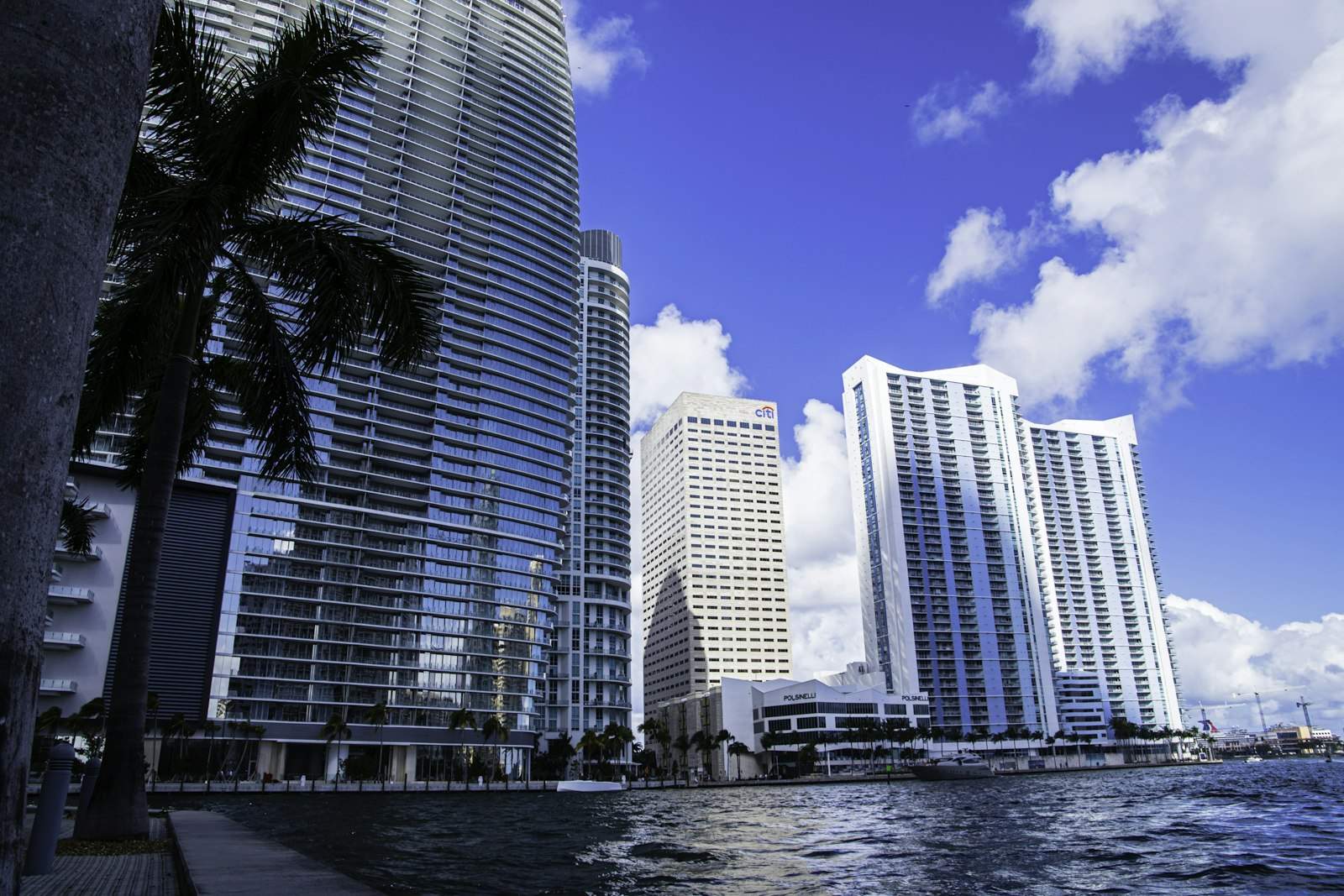 Miami skyline along the water